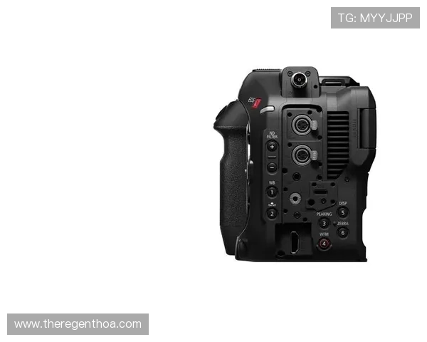 尊龙z6游戏机的最新固件升级内容与更新日志，确保设备始终保持最佳状态